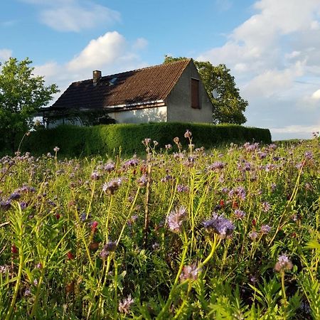 Ferienhaus Gransee Unmittelbar Am Stechlinsee - Radweg Exterior photo